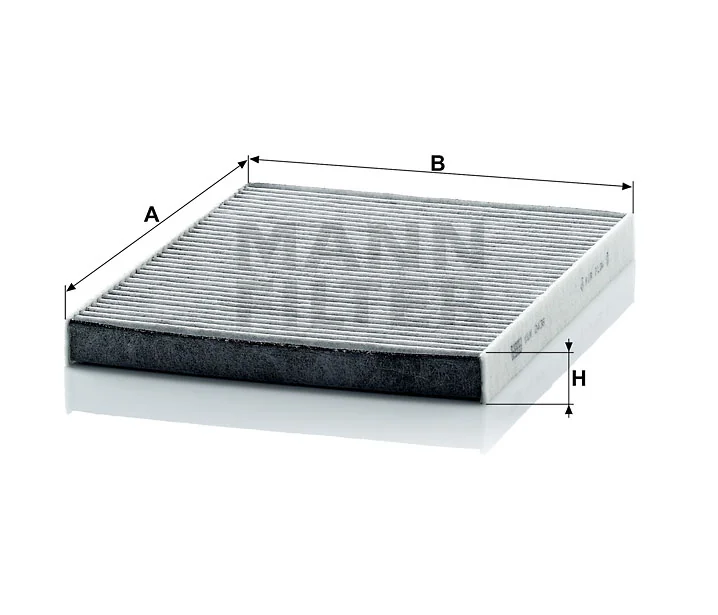 Mann Filter