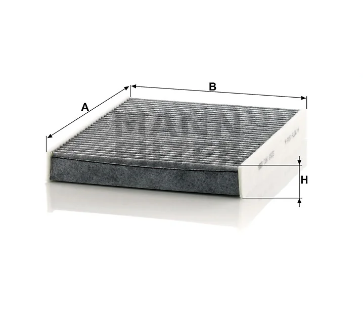 Mann Filter