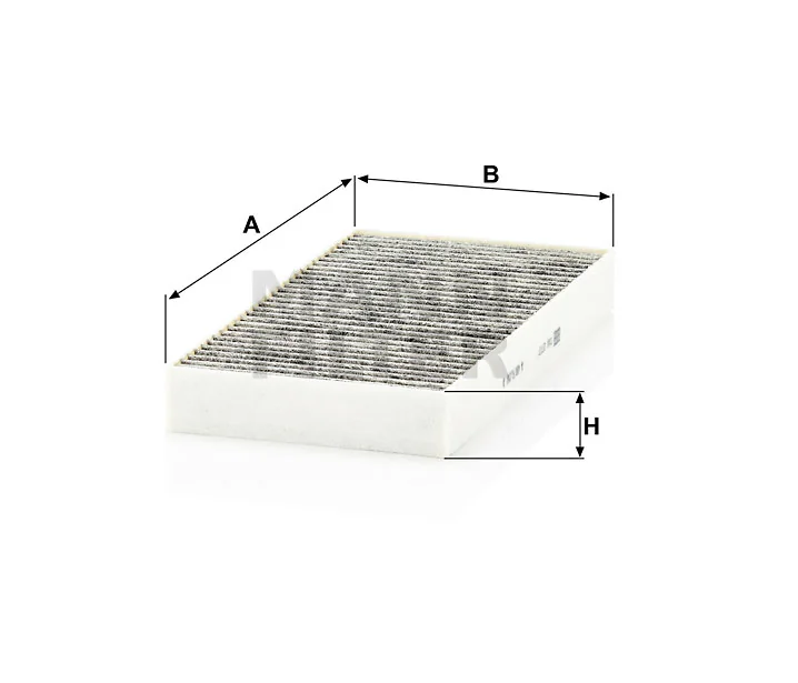 Mann Filter