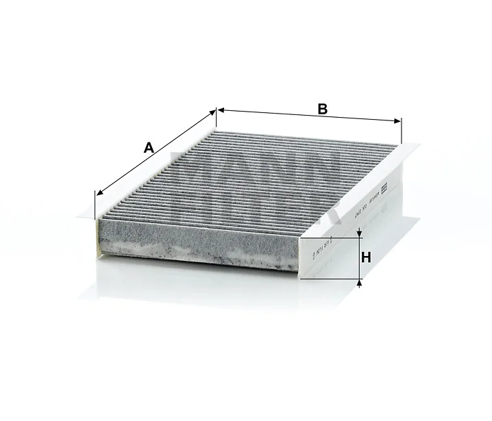 Mann Filter