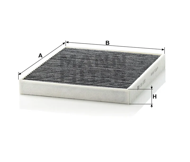 Mann Filter