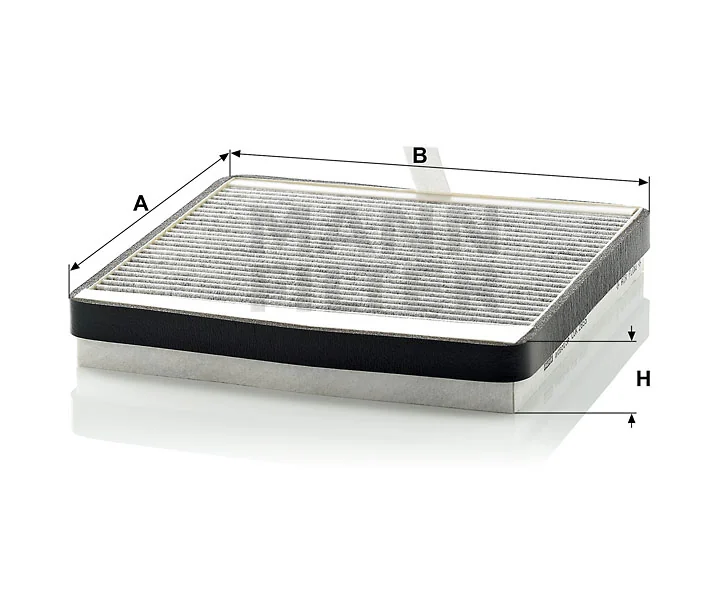 Mann Filter