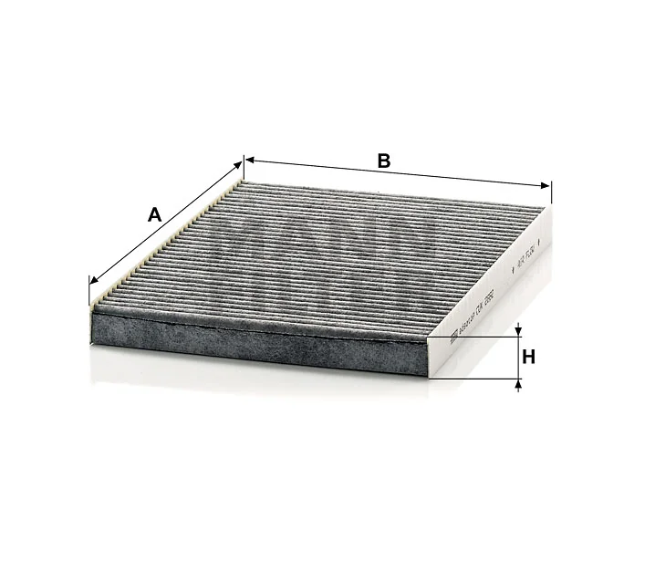 Mann Filter