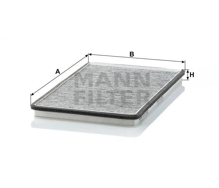 Mann Filter