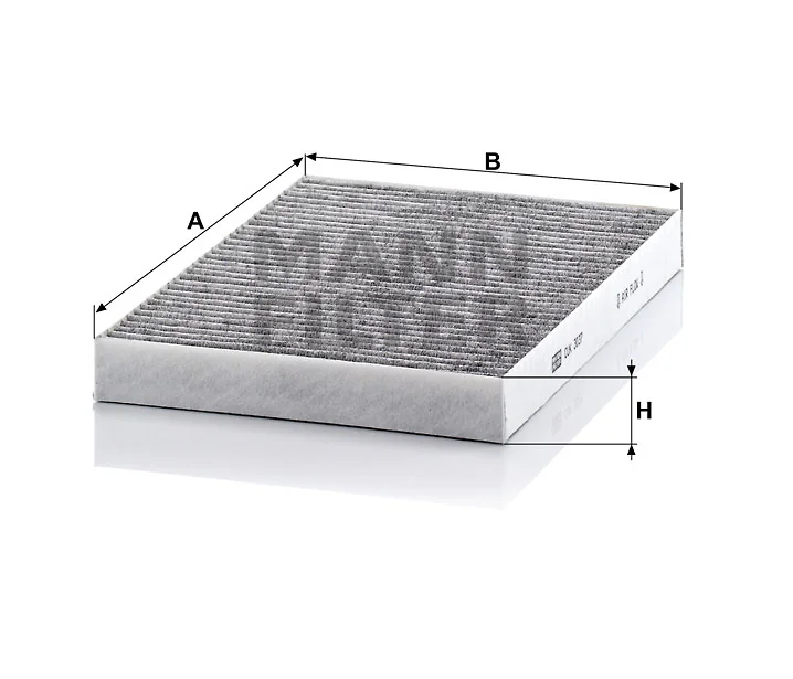 Mann Filter