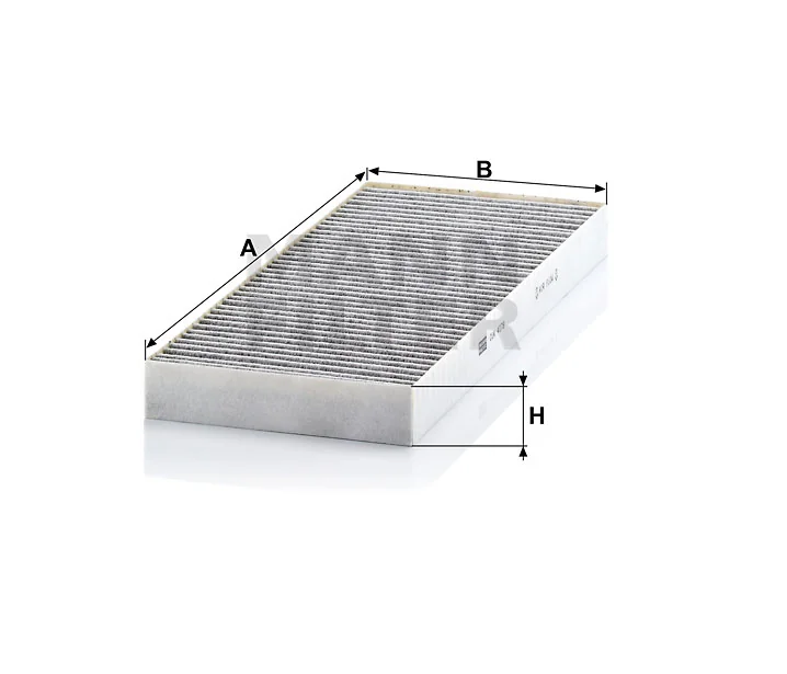 Mann Filter