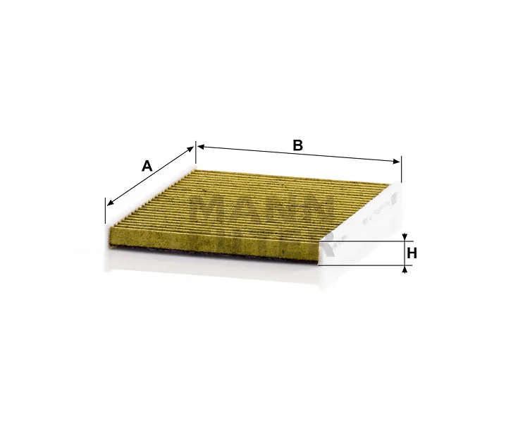 Mann Filter