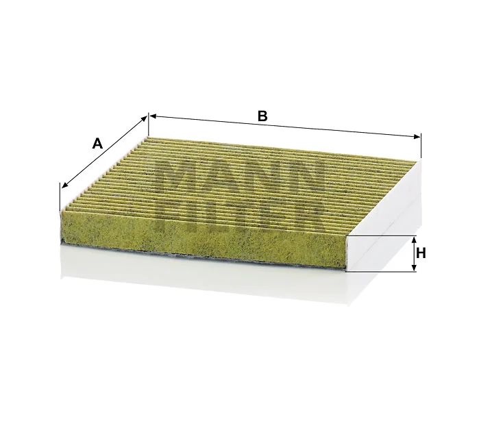 Mann Filter