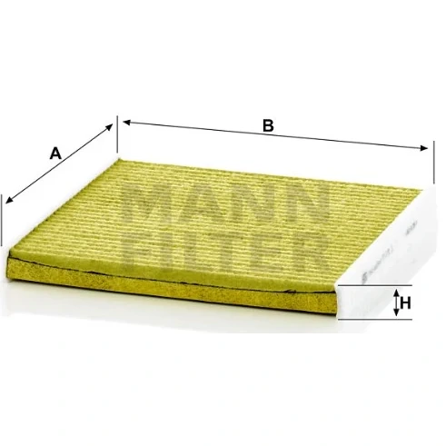 Mann Filter