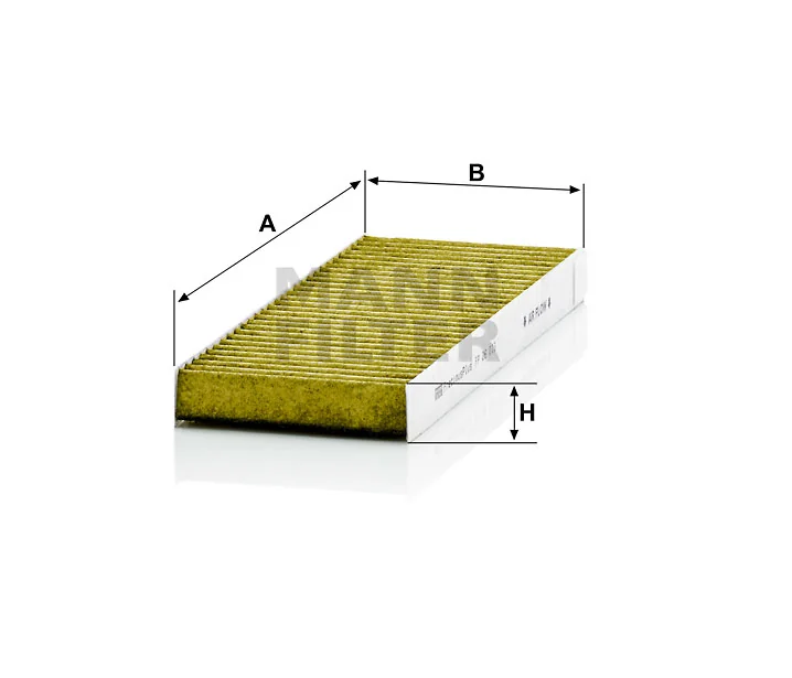 Mann Filter