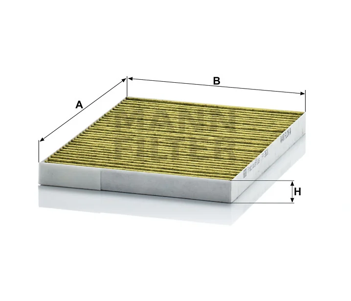 Mann Filter