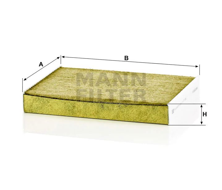 Mann Filter