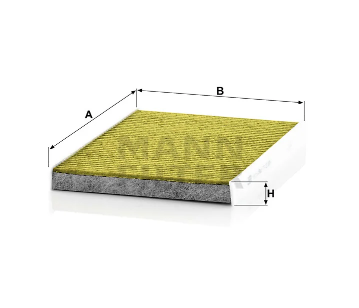 Mann Filter