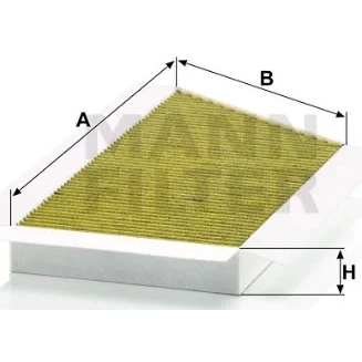 Mann Filter