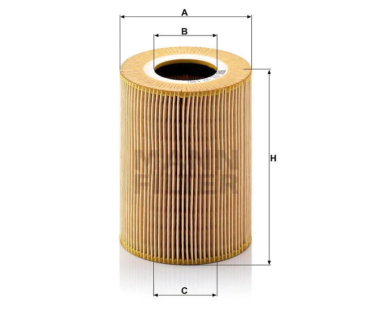 Mann Filter