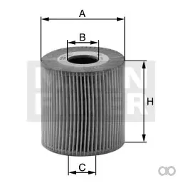 Mann Filter