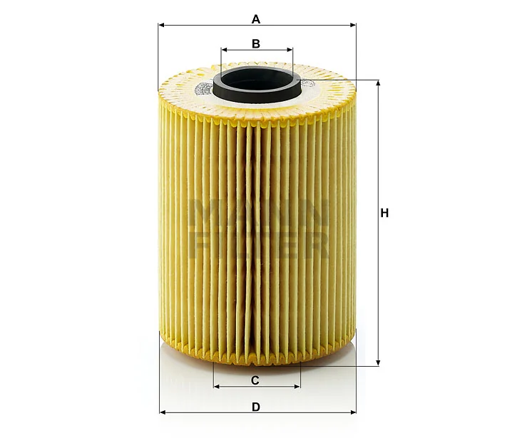 Mann Filter