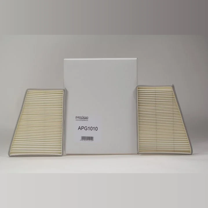 Panclean - APG1010 - Filtro per cabina