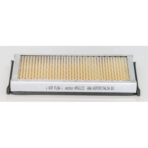 Panclean - APG1123 - Filtro per polvere