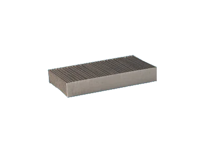 Panclean - AXK1009 - Cabin air filter (activated carbon)