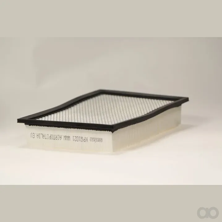 Panclean - KPG1021 - Filtro per cabina KPG1