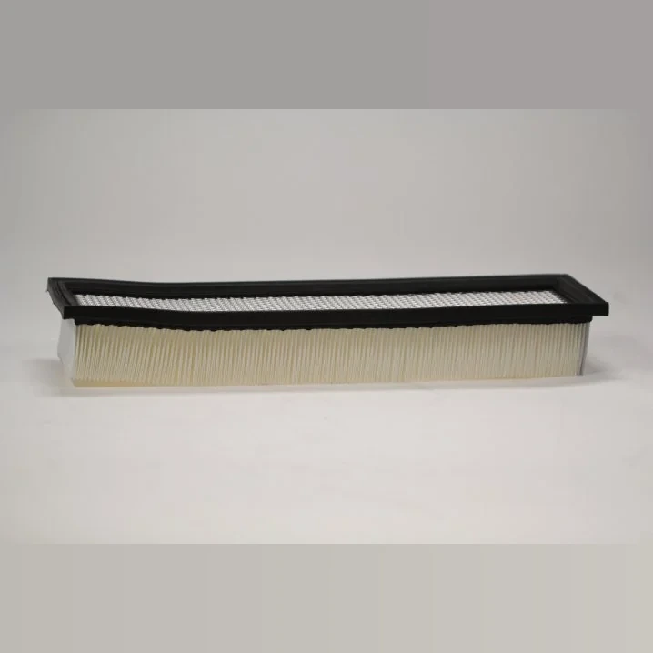 Panclean - KPG1022 - Filtro per cabina Panclean