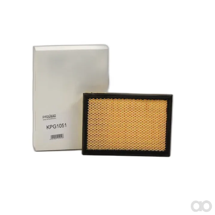 Panclean - KPG1051 - Panclean Filtro per cabina KPG1051