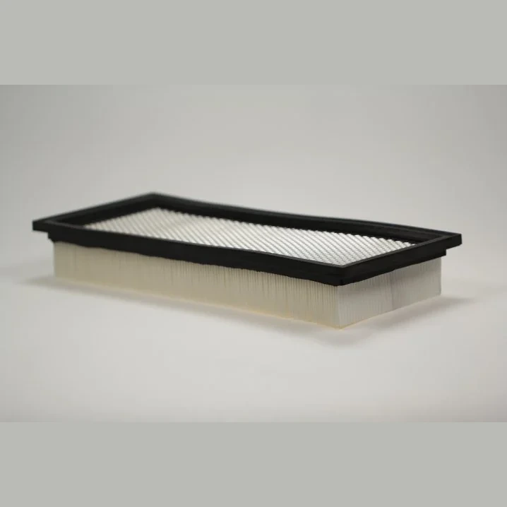 Panclean - KPG1061 - Filtro per polvere