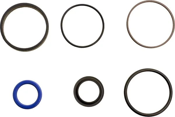 AGCO - 1609086M91 - Steering Cylinder Repair Kit