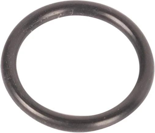 AGCO - 3004939X1 - Gasket