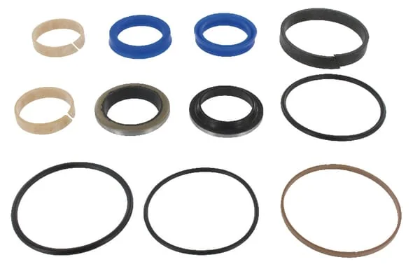 AGCO - 3624121M91 - Cylinder Seal