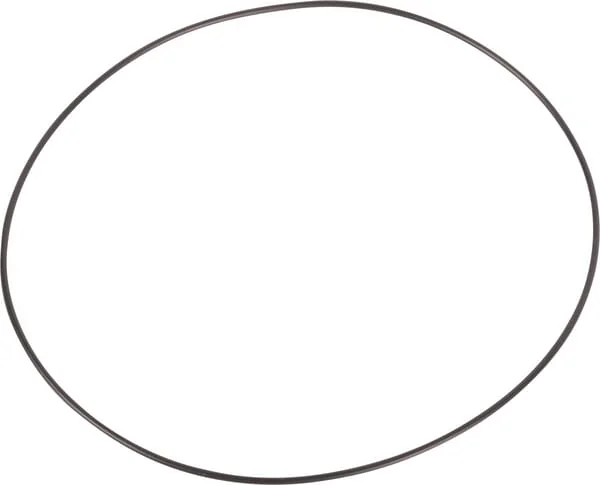 AGCO - 3760819M1 - O-Ring