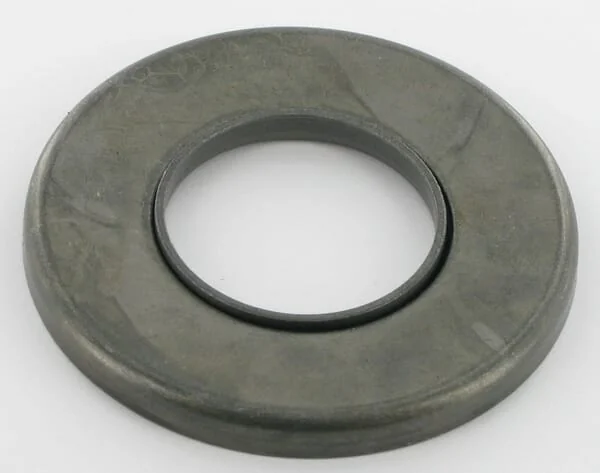 AGCO - 9110600091 - Plate Lely