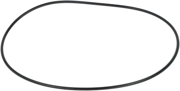 AGCO - F119200310200 - Seal