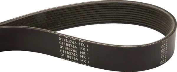 AGCO - F743200040010 - V-Belt