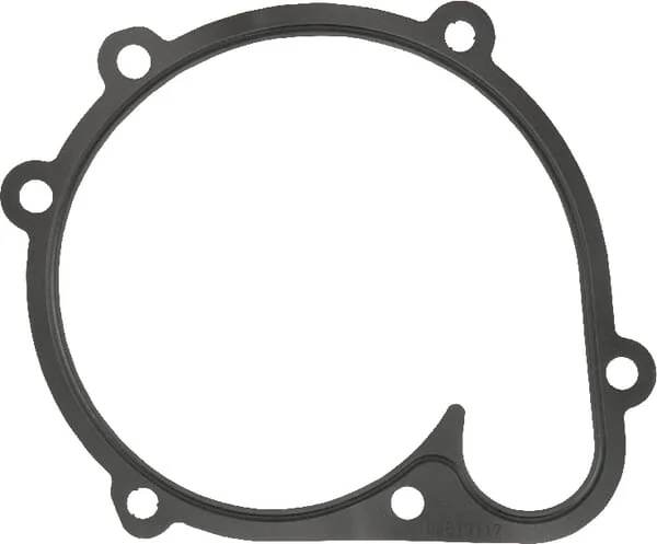 AGCO - F842201610080 - Water Pump Gasket