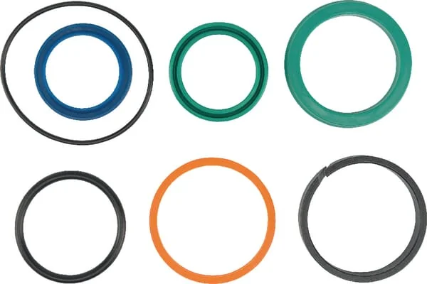 AGCO - FEL200256 - Seal Kit Diameter 30 - Diameter 50-60 Lely