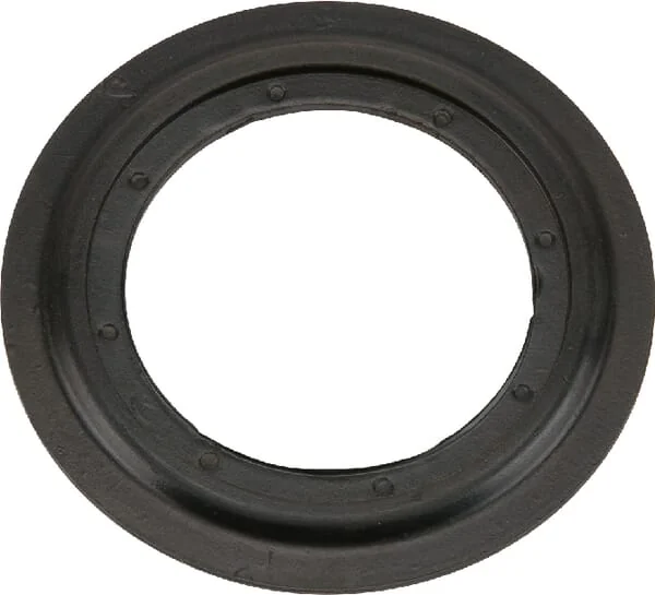 AGCO - H165300062060 - Seal