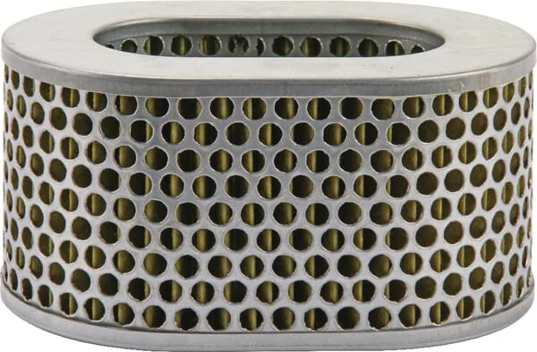 Agria - AGW415008 - Air Filter Element