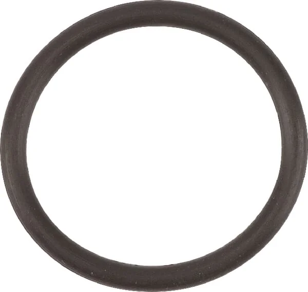 Agria - AGW415039 - O-Ring Seal Ring