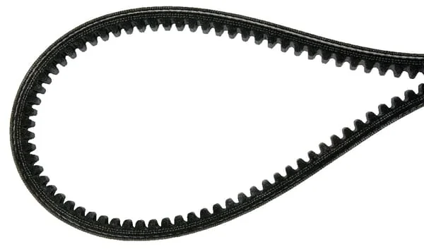 Agria - AGW48175 - V-Belt