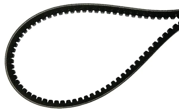 Agria - AGW60187 - V-Belt Spax 782