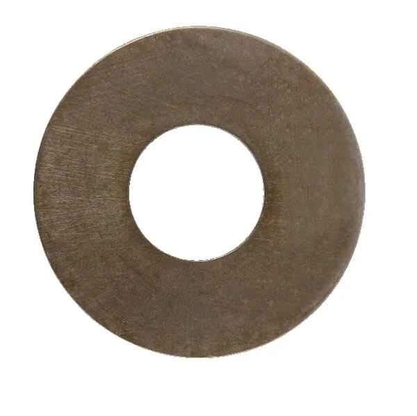 Agria - AGW72241 - Driving Disc 12x30x2.5