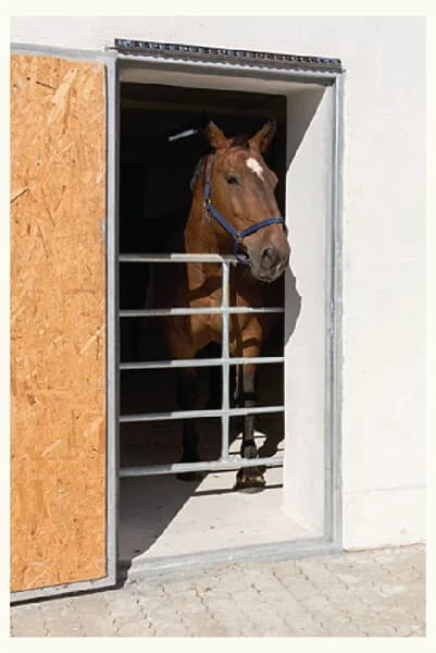 AKO - 44893 - Fence Gate 1 - 1.7m Galvanize