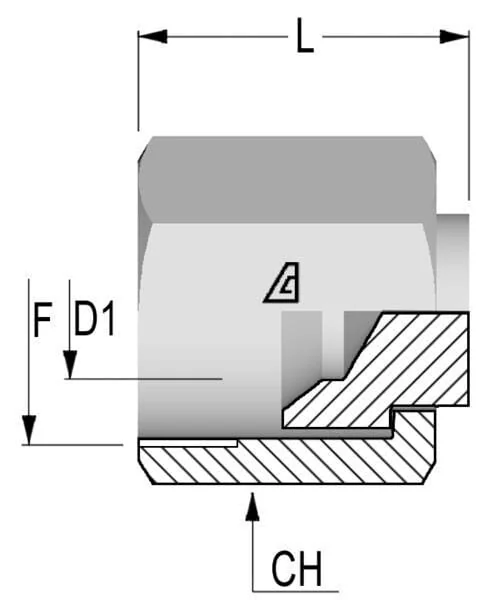 Alfagomma - PF21 - End Plug 1-5/16 Jic