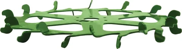 Amazone
