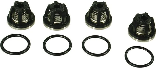 Annovi Reverberi - AR2364 - Valve Set 2 Cylinder