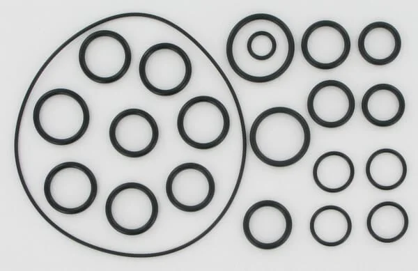 Annovi Reverberi - AR2409 - Set Of O-Rings For AR202 / 252
