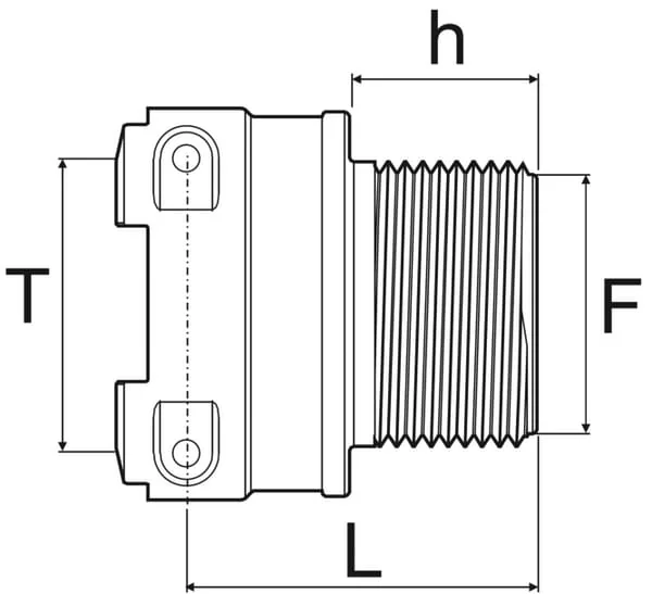 Arag - 249067 - Coupling T6F 2" Male Thread