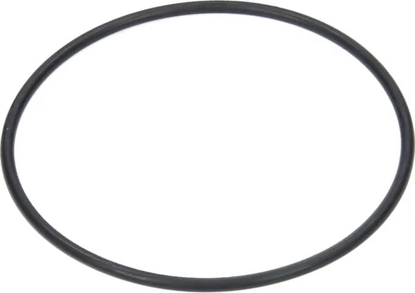 Arag - 314300060 - O-Ring 71.12x2.62 mm 70 Shore EPDM